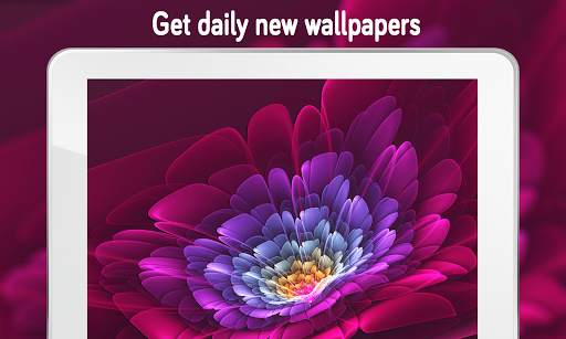 Flower Wallpaper (4k) screenshot 14