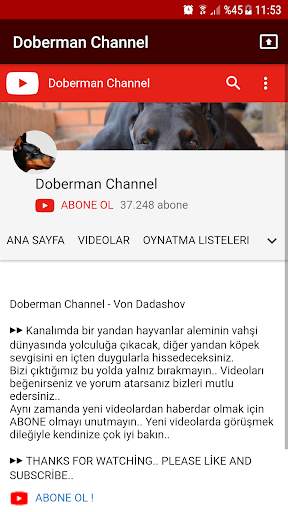 Doberman Channel स्क्रीनशॉट 2