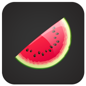 VPN icon