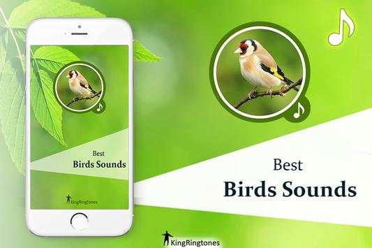 Bird Sounds - Bird Ringtones screenshot 1