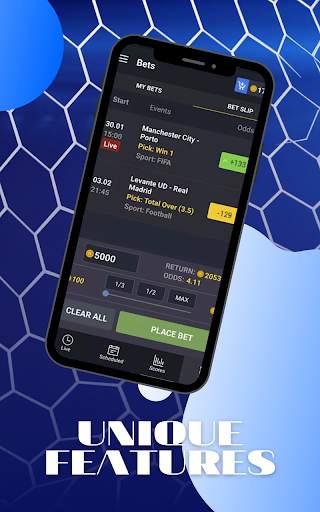 BallBin screenshot 2