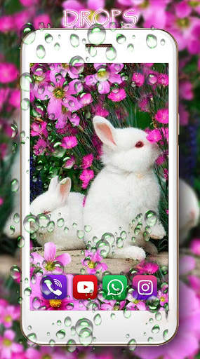 Funny Bunnies Live Wallpaper screenshot 2
