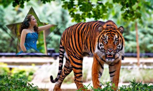 Wild Animal Photo Frames screenshot 8