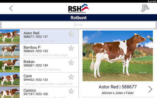 RSH-App screenshot 2