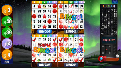 Absolute Bingo screenshot 2