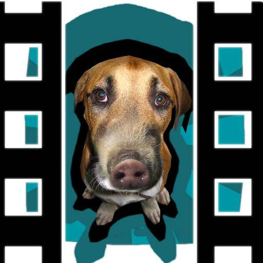 Photo Montage and Video Maker 1.1