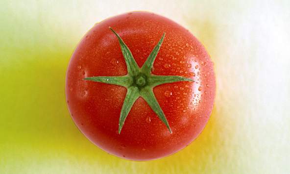 Tomatoes Wallpapers screenshot 2