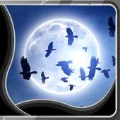 Moonlight Live Wallpapers 1.5