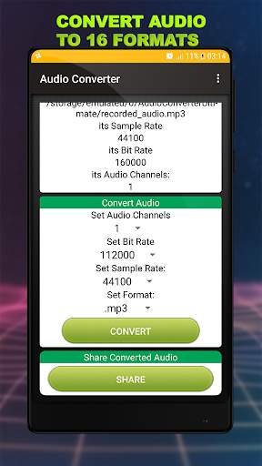 Audio Converter - 16 Audio Formats screenshot 2