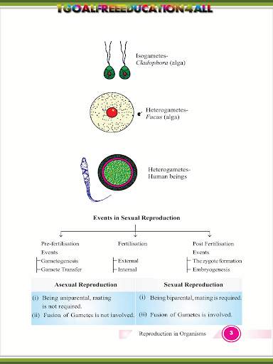 Class 12 Biology screenshot 4