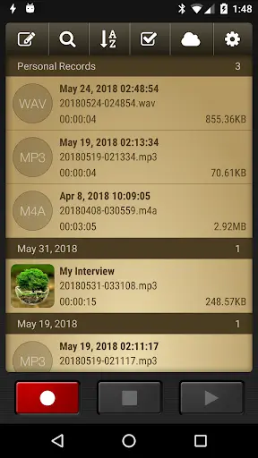 Voice Record Pro screenshot 2