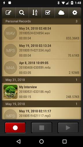 Voice Record Pro screenshot 2
