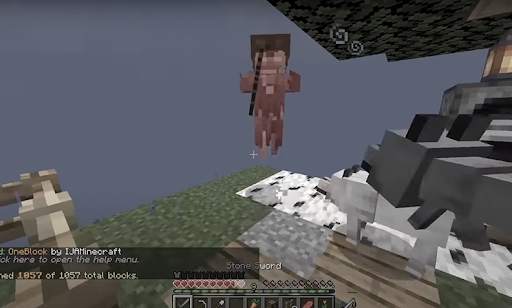 mod one block maps survival screenshot 2