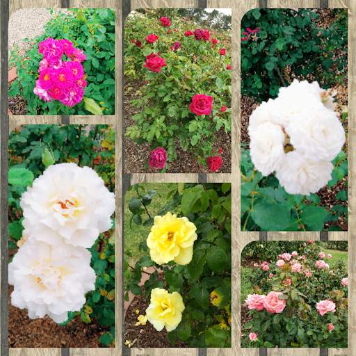 Photo Collage Editor скриншот 5