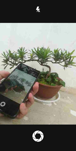 Remote Camera X screenshot 2