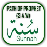 SUNNAH - The Prophet (S A W)'s Path English Mp3