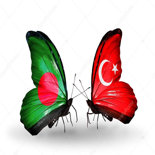 TRT Bangla icon
