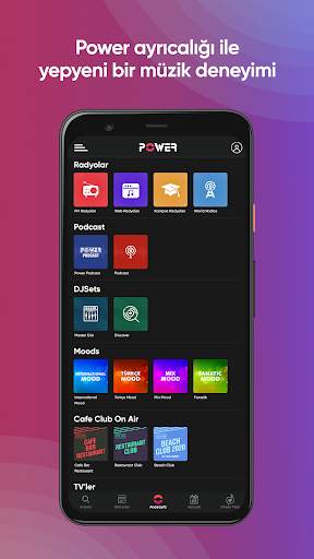 PowerApp screenshot 2