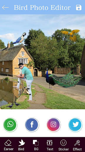 Bird Photo Editor : Cut Paste Editor screenshot 8