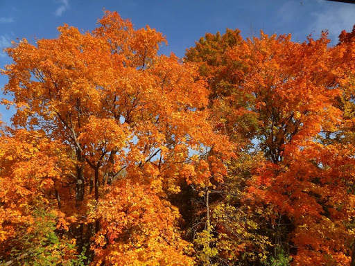 Canada Wallpaper Travel screenshot 17