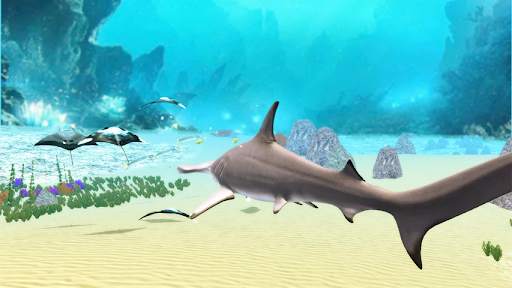 The Hammerhead Shark screenshot 5