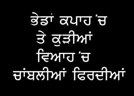 Punjabi Funny Jokes screenshot 5