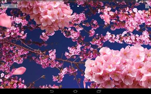 Flowers 3D live wallpaper screenshot 5