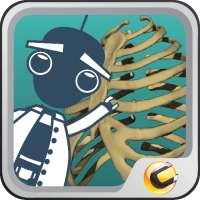 Dr. Girder's Bones