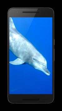 Dolphins Live Wallpaper screenshot 2