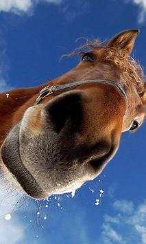 Funny Horses Jigsaw Puzzles screenshot 1