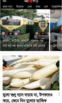 Bengali News screenshot 6
