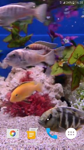 Aquarium 4K Live Wallpaper screenshot 4