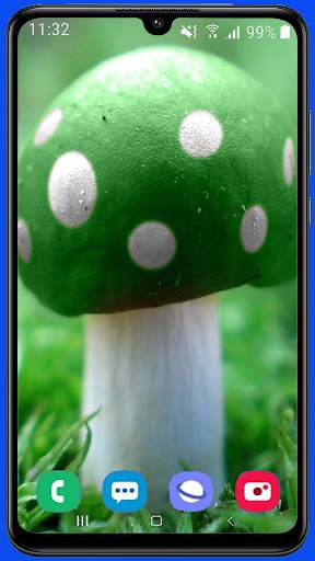 Mushroom Wallpaper Best HD screenshot 5