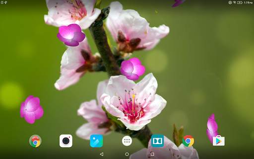 Cherry Blossom Live Wallpaper screenshot 9