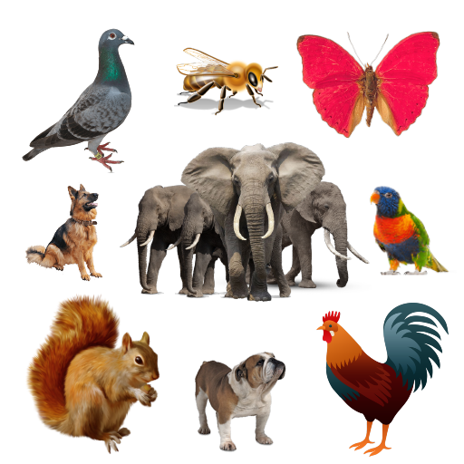 Animal, Bird, Insect Sounds and Ringtones icon
