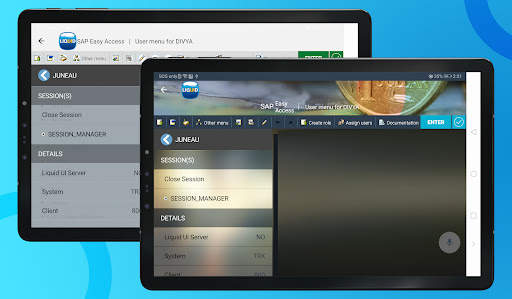 Liquid UI Client for SAP screenshot 22