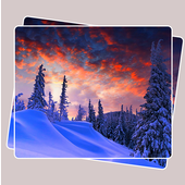 Camera Roll icon