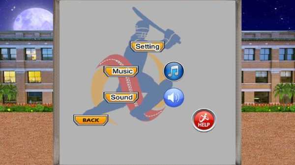Gully Cricket Pro screenshot 2
