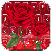 Beautiful Red Rose Keyboard icon