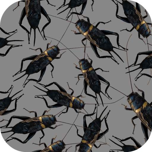 Cricket Sounds 1.0
