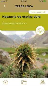 Flora y fauna Lo Barnechea скриншот 6
