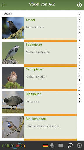 Vogelstimmen live erkennen - naturetouch स्क्रीनशॉट 6