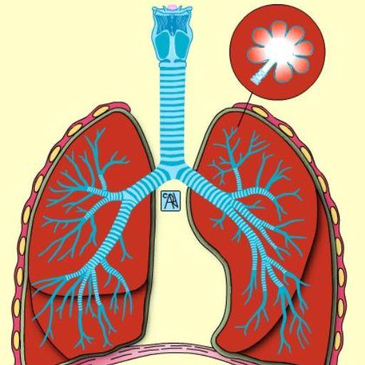 Learn Medical Terminology icon