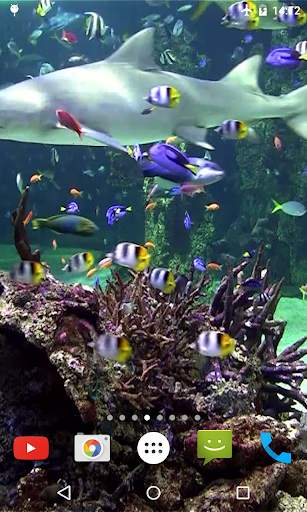 Aquarium 4K Video Wallpaper screenshot 4