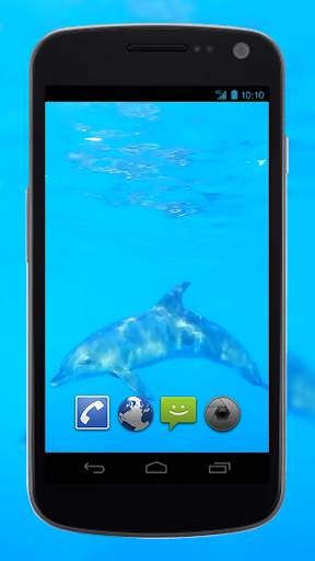 4K Dolphins Video Live Wallpaper screenshot 1