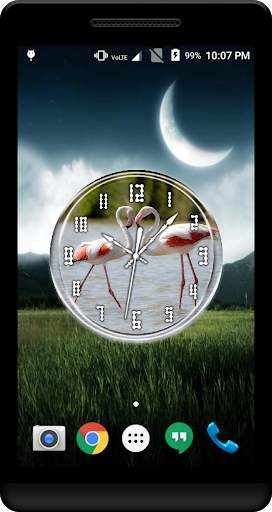 Flamingo Clock Live Wallpaper screenshot 3