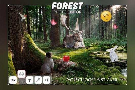 Forest Photo Editor screenshot 2