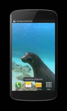 Seal Free Video Wallpaper screenshot 1