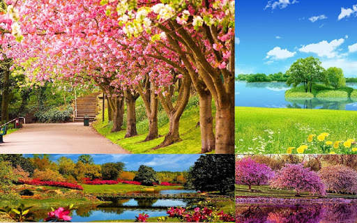 Spring Wallpaper screenshot 4
