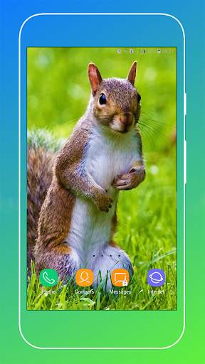 Squirrel Wallpaper screenshot 9